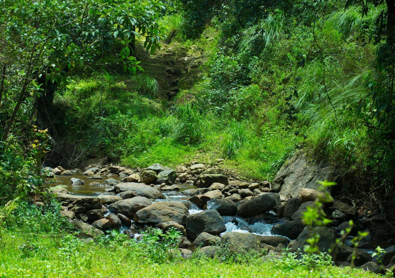 Hidden Valley Hill View Cottage Vagamon By Voye Homes Eksteriør billede